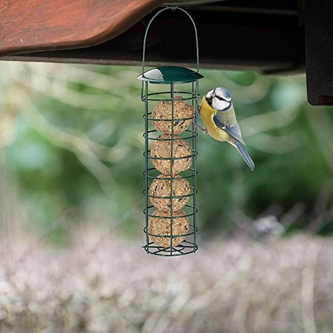 Suet Ball Bird Feeder Outdoor Hanging Metal Wire Wild Bird Feeder Fat Ball Food Feeder (1)