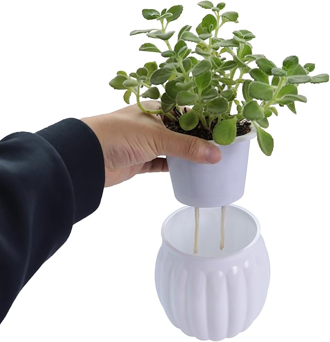 Cornasee 4" Pumpkin Planter Self Watering Pot, 4-Pack Small Plastic Planters for Indoor Plants,Flowers,Succulent,African Violets (White, 4")
