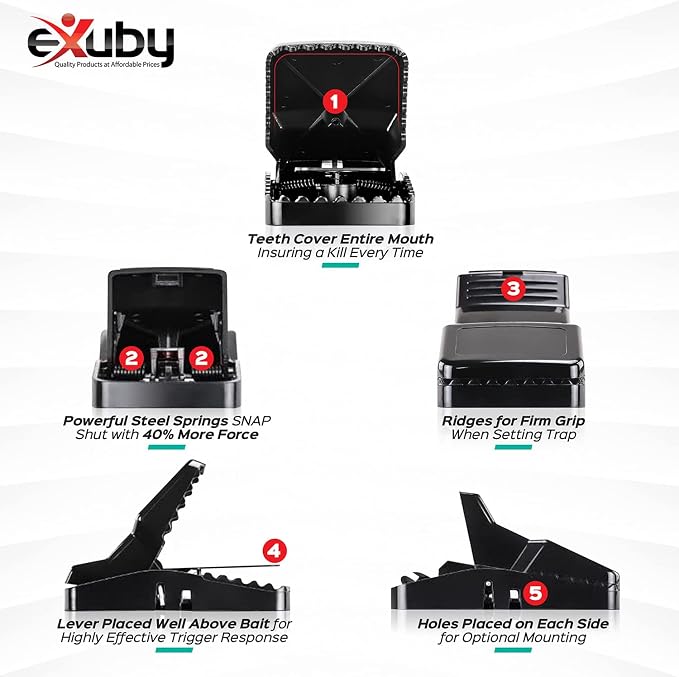 eXuby Large Powerful Rat Traps - Kills Instantly with Powerful Steel Spring - Setup in Seconds - Wash & Reuse Over & Over - Hands Free Disposal - Rat Control Without Harmful Poisons (12)