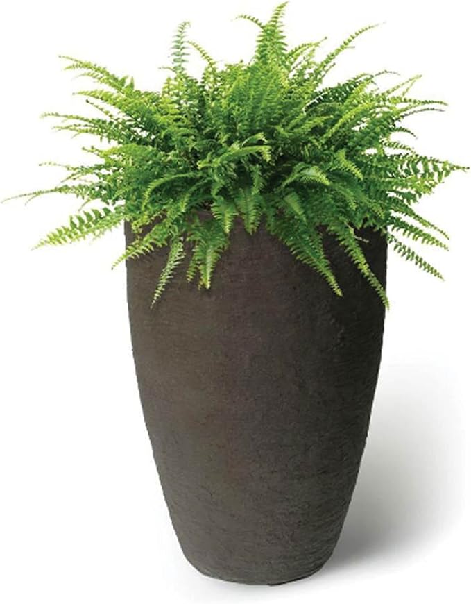 Algreen Products Athena Self-Watering Planter, Small, 12.6" DIA x 20.5" H, Brownstone