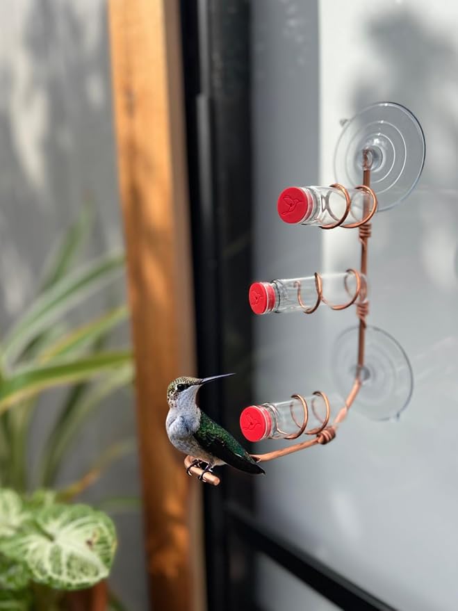 Window Hummingbird Feeder | Handcrafted Copper and Aluminum | Multiple Stations | Modern Hummingbird Feeder | Glass Bottles | Suction Cups (Copper, Three Station)