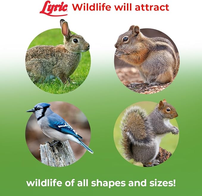 Lyric Wildlife Critter Food for Deer, Squirrels, Turkeys & Rabbits, Wild Bird Seed for Outside Feeders, 10 lb Bag