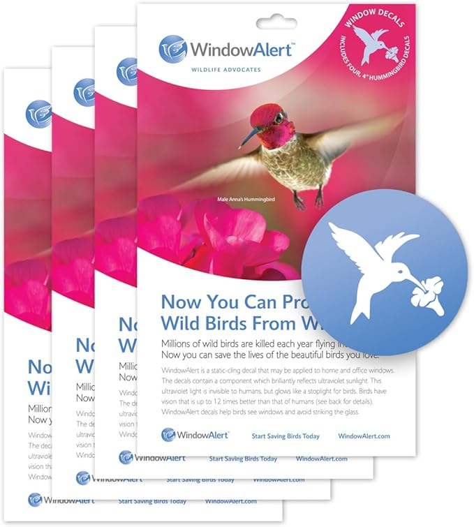 WindowAlert Hummingbird Anti-Collision Decal 4 Pack - UV-Reflective Window Decal to Protect Wild Birds from Glass Collisions - Made in The USA