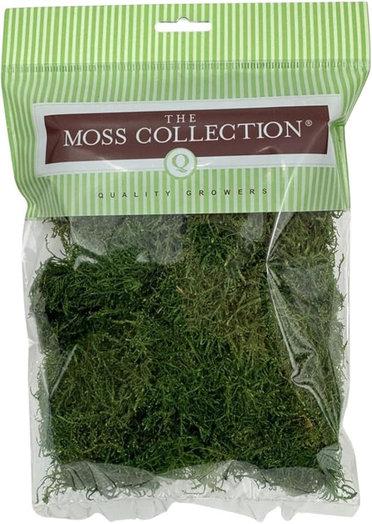 Preserved Sheet Moss - Natural Decorative Moss - Dried Moss for Crafts, Home Decor, Art, Design & DIY Projects - Non-Toxic - Green - Small