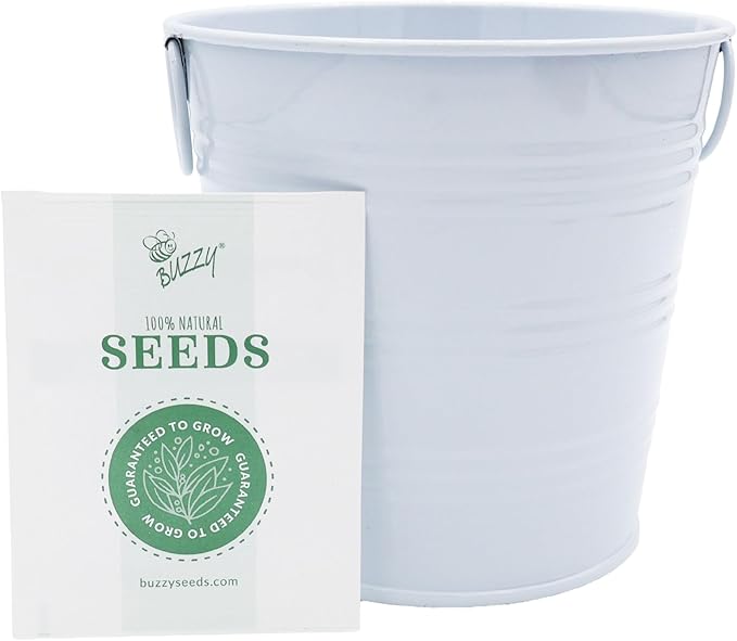 BUZZY Seeds Americana Grow Kit 3-Pack – Red White and Blue Pails with Daisies, Poppies & Forget-Me-Nots – Fun Patriotic Indoor Flower Grow Kit, DIY Gardening Gift Set