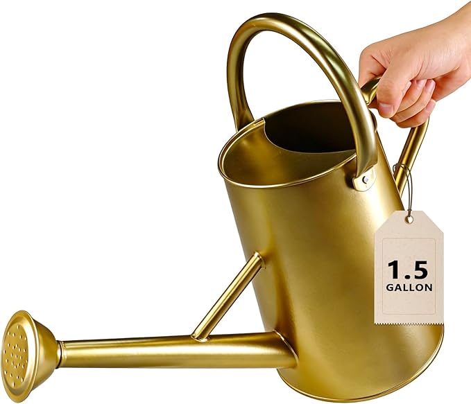 Watering Can for Outdoor&Indoor Plants，1.5 Gallon（5.7L） Metal Watering Can with with Removable Spout，Large Galvanized Steel Garden Flower Water Can Watering Pot with 2 Handles，Gold