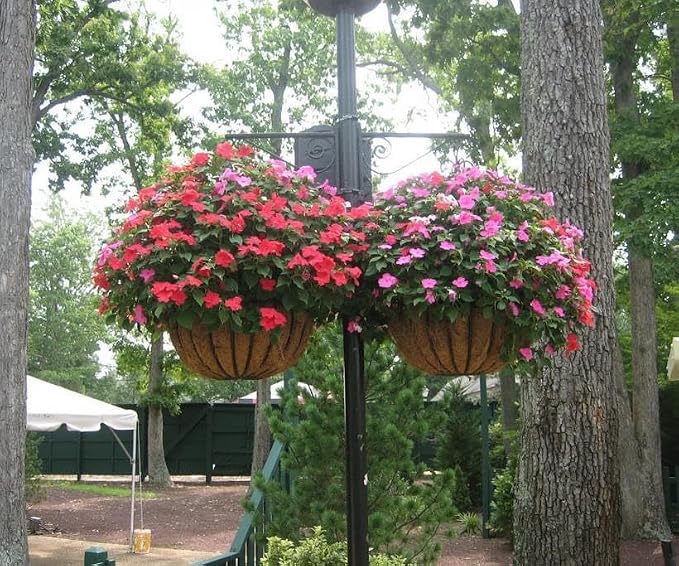 2 PCS 22 Inch x 14 Inch Coco Liners for Planters Round Basket Shaped Coconut Fiber Replacement Liners