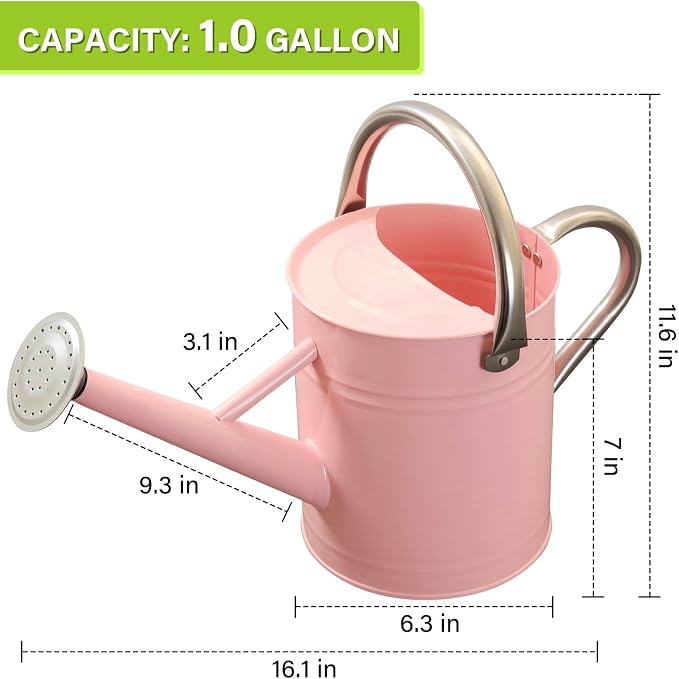 Watering Can for Outdoor&Indoor Plants，1 Gallon Metal Watering Can with with Removable Spout，Galvanized Steel Garden Flower Water Can Plant Watering Pot with 2 Handles,Pink