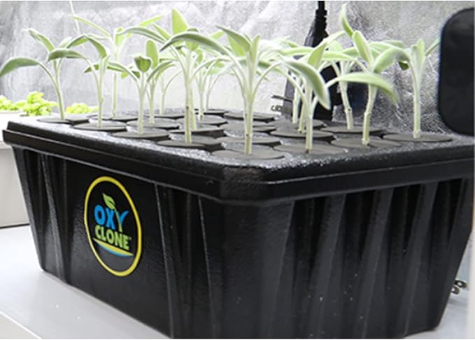 Oxyclone OX20SYS 20 Site, Compact Recirculating Cloning Propagation System, Heavy Yields