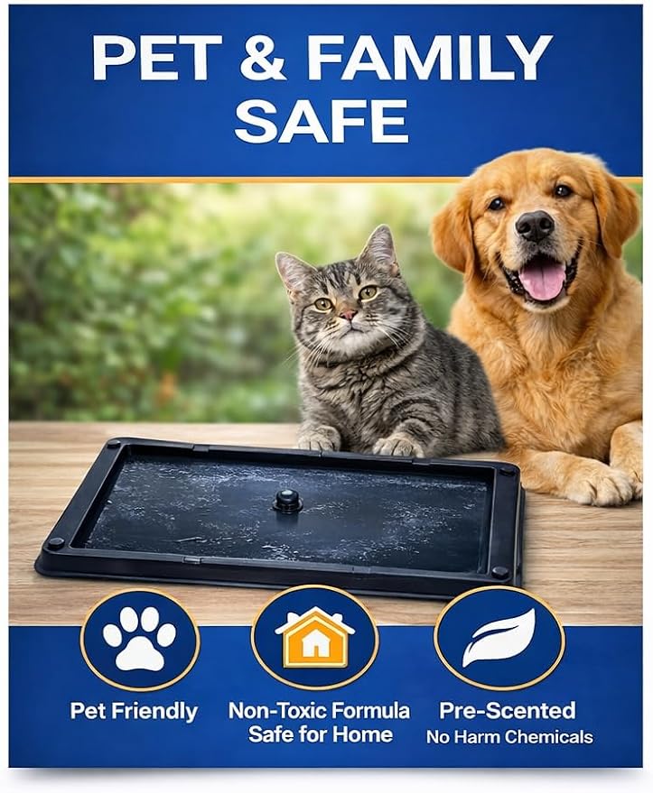 Glue Traps Indoor for Home, 12 Pack, Bulk Glue Traps for Rats, Mice, Snakes and Lizards, Non-Toxic, Adhesive Plastic Trays, Insect, & Spider, Pet Safe Pest Control