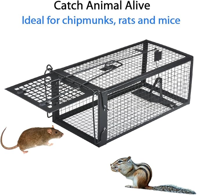 Gingbau 2-Pack Chipmunk Rat Traps Humane Live Mouse Trap Cages