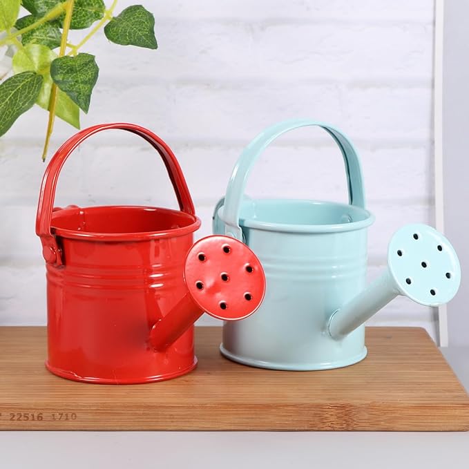 Kids Watering Can Metal Small Watering Can for Indoor Plants, Iron Mini Water Bottle for Garden Yarde Home Plants Flower Bonsai Pots (Red and Light, 2PCS)