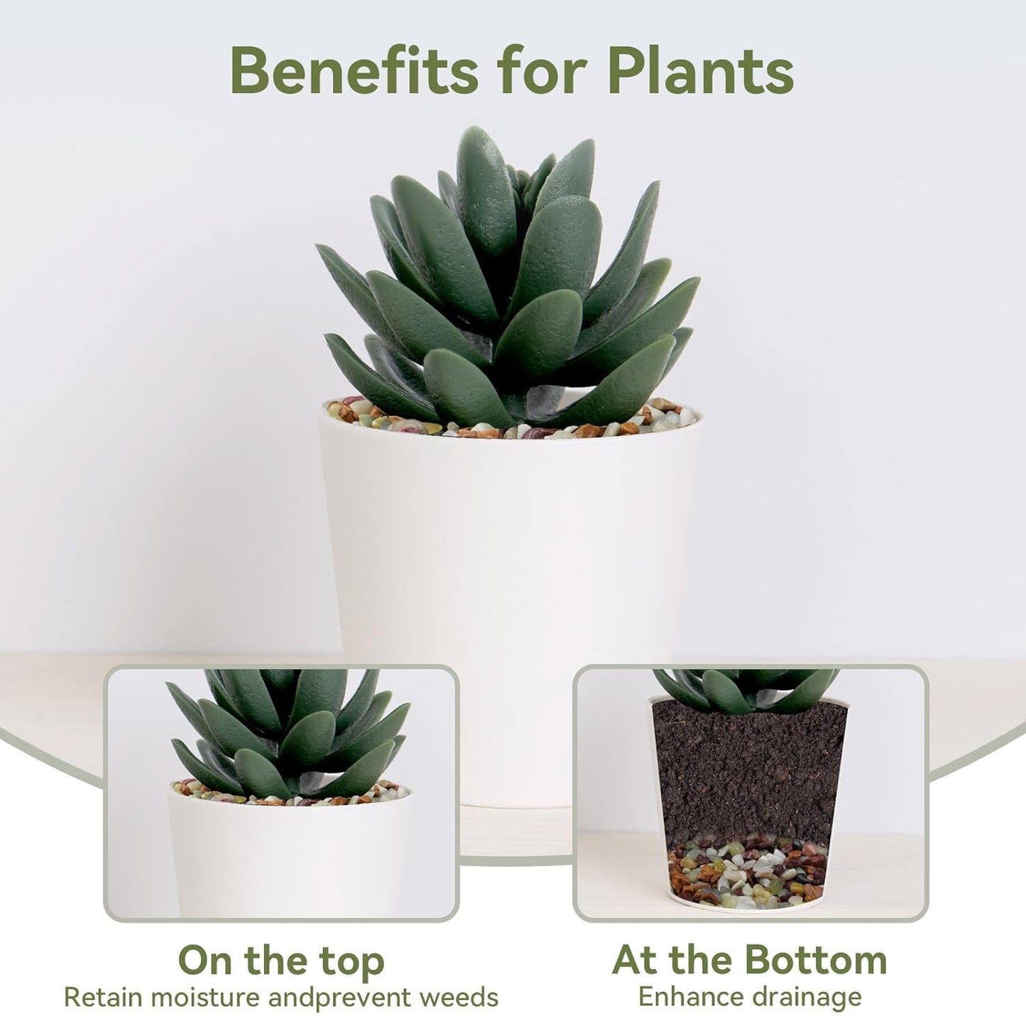 2.5 lbs Pebbles for Indoor Plants, Succulent Rocks, 3/8" Polished Pebbles for Bamboo, Vase, Terrarium, Natural Decorative Small River Rocks for Crafts, Cactus, Outdoor Garden Landscaping