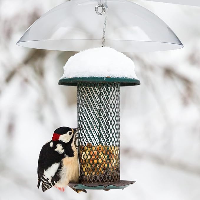 2 Pcs Squirrel Baffles Bird Feeder Rain Guard Bird Feeders Protective Cover Clear Round Protective Dome Rain Anti-Squirrel Protective Cover for Hanging Bird Feeders Outdoor Garden - 10''