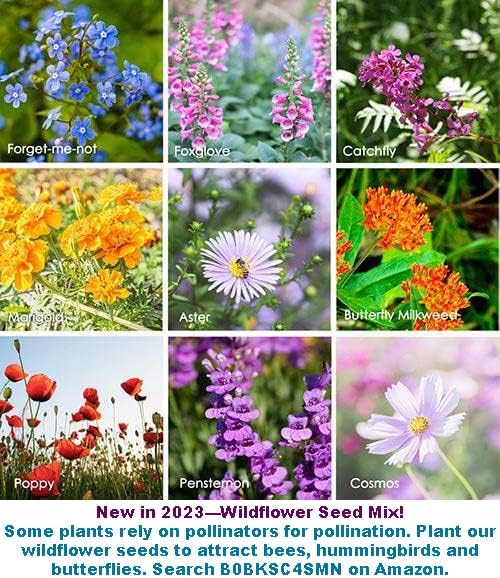 Bundle: Oriental Yard Long Bean Seeds + Thai Bird Chili Pepper Seeds for Planting