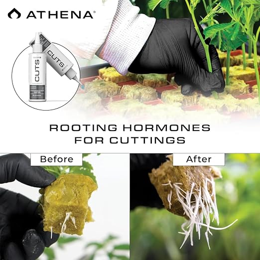 Athena Cuts Rooting Hormone Cloning Gel | Root Growth Hormone for Plant Cuttings, Clones & Propagation | Fast Root Development for All Plant Types | Easy Application Rooting Gel | 8 Ounce