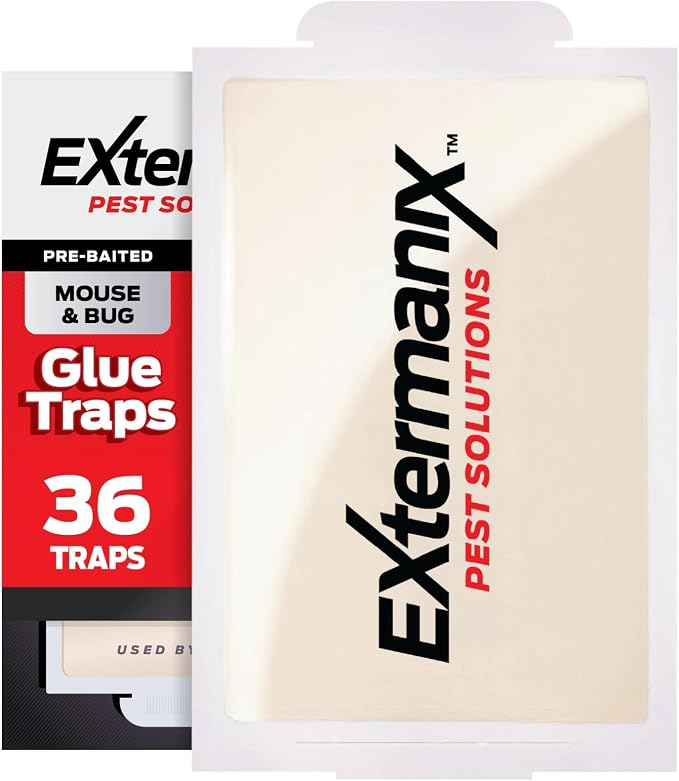 Mouse Traps Indoor for Home – Sticky Glue Traps for Mice & Rats – Strong Adhesive Mouse Glue Traps – Pest Control Sticky Mouse Traps for Indoor Use (36 Pack)