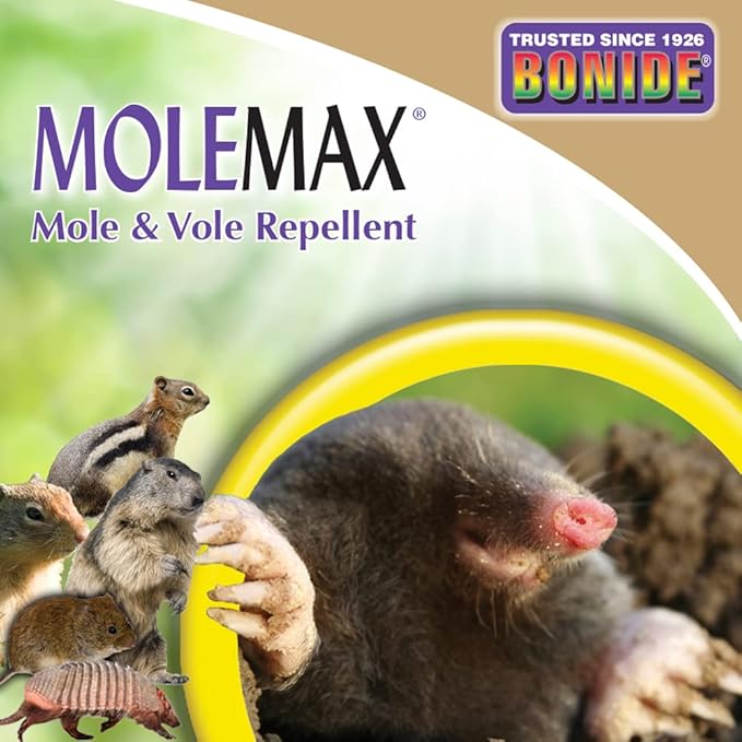 Bonide MOLEMAX Mole & Vole Repellent, 32 oz Ready-to-Spray Animal Repellent for Gardens, People and Pet Safe (Pack of 2)