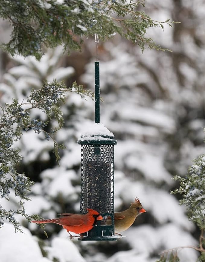 Squirrel Buster Mini Squirrel-Proof Bird Feeder w/4 Metal Perches, 0.98-Pound Seed Capacity & Wagner's 62034 Greatest Variety Blend Wild Bird Food, 6-Pound Bag