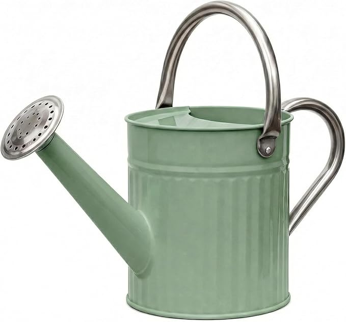 Bamworld Watering Can for Indoor Outdoor Plant Metal Watering Can with Removable Spout Embossd Design Plant Watering Devices Stainless Steel 1/2 Gallon Watering Cans Home & Garden Décor Creamy Green