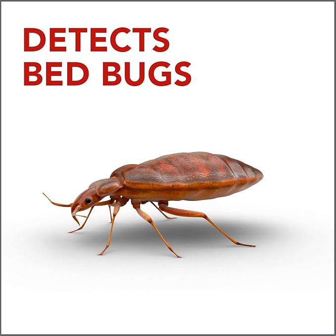 Raid Bed Bug Detector & Trap Early Detection and Monitoring for Home or Travel,8 Count (Pack of 6)