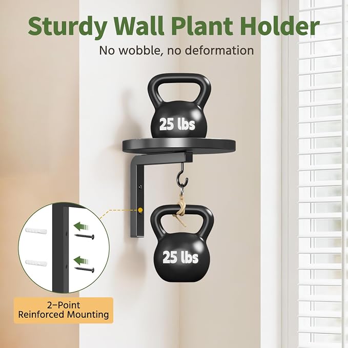 LASZOLA Plant Hangers Shelves Wall Mounted Indoor, Metal Window Plant Holders, 1PC Modern Floating Flower Display Stand with 1 Hook for Outdoor Kitchen Bathroom Decor, Black