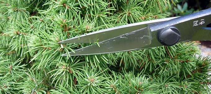 Okatsune 207 Pine Needles Shears with BP