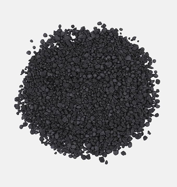 The Andersons BioChar DG Organic Soil Amendment - Covers up to 15,000 sq ft (30 lb)