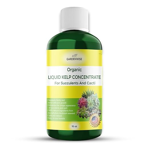 GARDENWISE Organic Kelp Seaweed Fertilizer: Premium Succulent and Cactus Food - Indoor Plant Nutrition with Root Booster, Ideal for Christmas Cactus, Dragon Fruit, and Potted Plants (16 OZ)