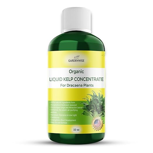 GARDENWISE Liquid Kelp Fertilizer: Premium Dracaena Fertilizer - Plant Food for Dracaena - Organic Seaweed Fertilizer for Robust Growth (32 OZ)