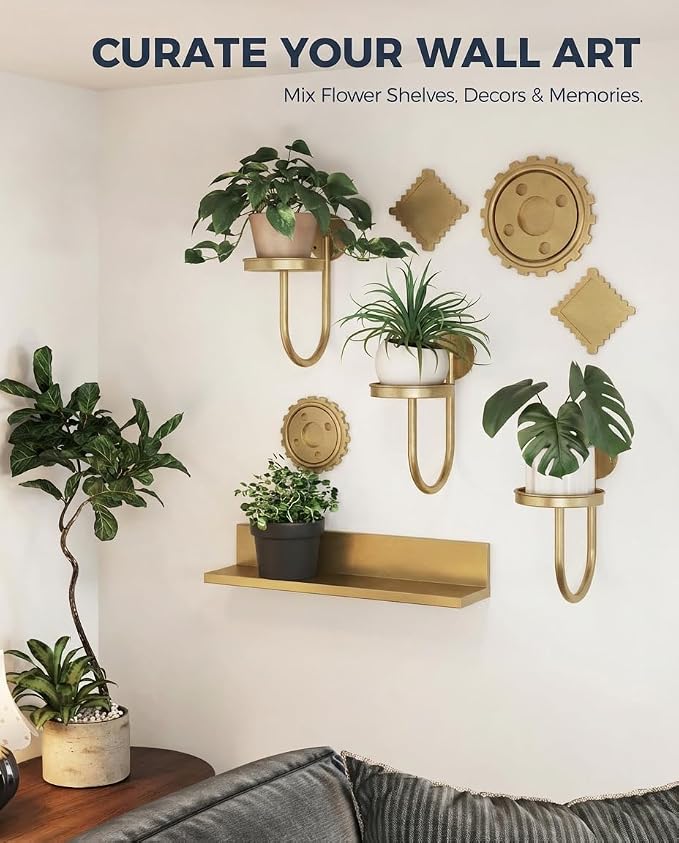 Bamworld Wall Plant Holder Wall Planters for Indoor Plants Plant Hanger Indoor Window Plant Shelves Hanging Plant Holder Window Plant Hanger Plant Decor Golden 3pcs