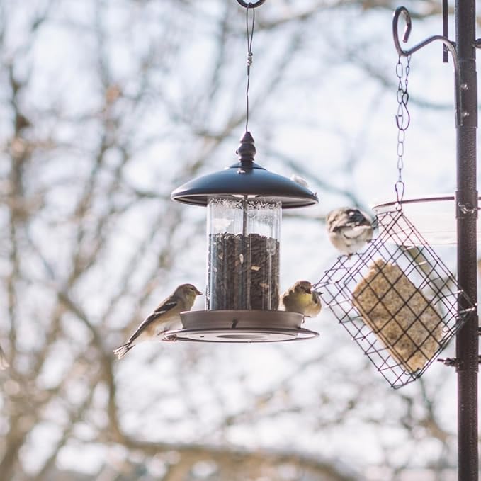 Metal Bird Feeder for Outside Hanging,Wild Bird Feeders for Cardinal, Large Roof and Tray - 6 Port