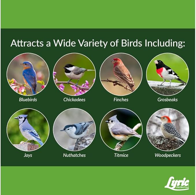 Lyric Fine Tunes Wild Bird Seed Mix - No Waste Bird Food Mix - Attracts Bluebirds, Finches, Chickadees & More - Seed for Outside Feeders - 5 lb Bag