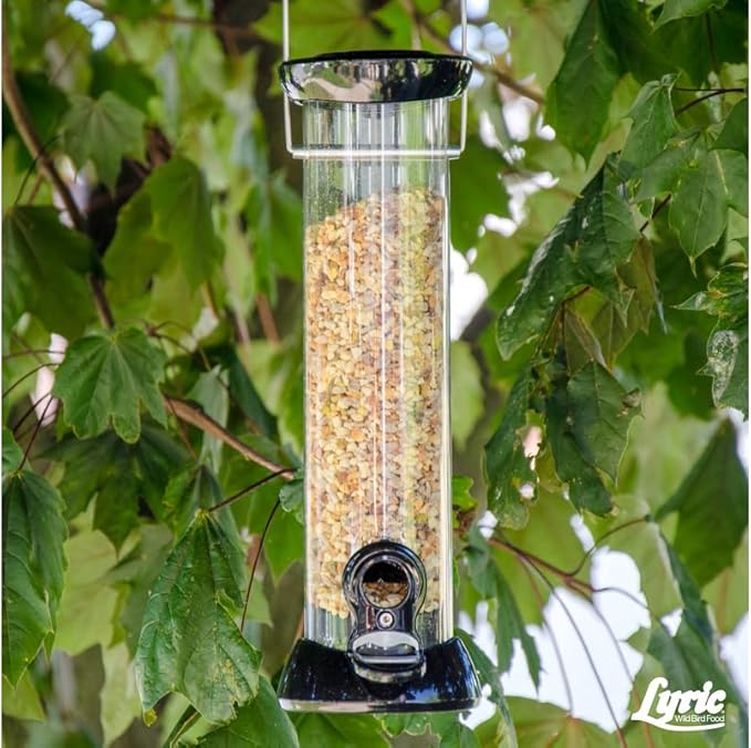 Lyric Fine Tunes Wild Bird Seed Mix - No Waste Bird Food Mix - Attracts Bluebirds, Finches, Chickadees & More - Seed for Outside Feeders - 5 lb Bag