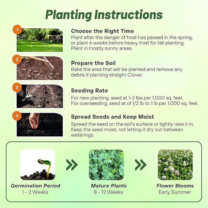 Outsidepride Perennial White Dutch Clover Seed - 40 lbs. Nitrocoated, Inoculated for Lawn Alternative, Erosion Control, Food Plots, Ground Cover, & Pasture Mixtures in USDA Zones 3-10