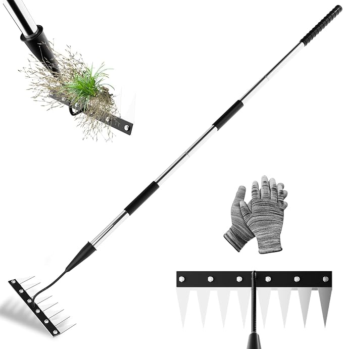 Iron Weeding Rake with Long Handle (Pre-Assembled), 8 Teeth Iron Rakes for Gardening and Weeding, Heavy-Duty Carbon Steel Weed Rake or Weed Puller Tool for Lawn, Patio and Garden, Gloves Included