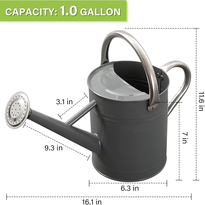 Watering Can for Outdoor&Indoor Plants，1 Gallon Metal Watering Can with with Removable Spout，Galvanized Steel Garden Flower Water Can Plant Watering Pot with 2 Handles,Grey