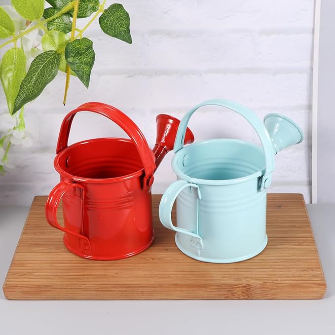 Kids Watering Can Metal Small Watering Can for Indoor Plants, Iron Mini Water Bottle for Garden Yarde Home Plants Flower Bonsai Pots (Red and Light, 2PCS)