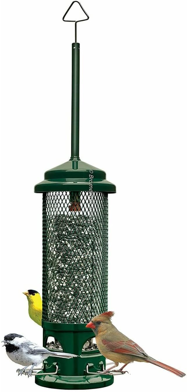 Squirrel Buster Legacy Squirrel-Proof Bird Feeder w/4 Metal Perches, 2.6-Pound Seed Capacity & Wagner's 62012 Southern Regional Blend Wild Bird Food, 20-Pound Bag