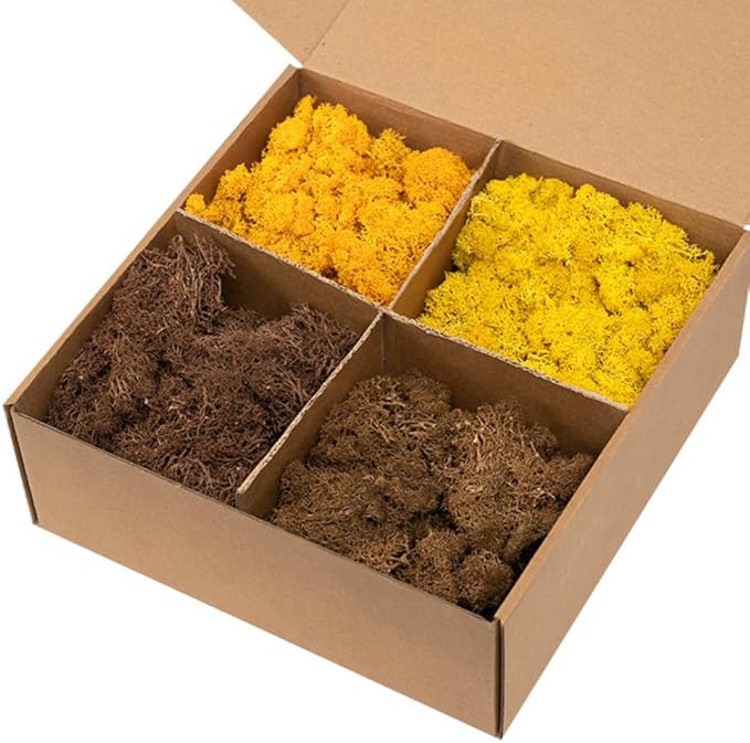 Preserved Reindeer Moss, Natural Decorative for Home Decor, DIY Crafts, Moss Wall Art, Terrariums, Floral Arrangements, Wedding & Holiday Decorations, Total 14oz (Autumn Beam)