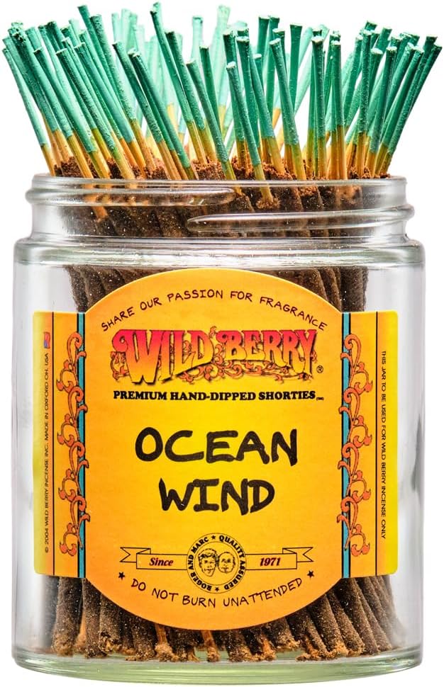 Wild Berry Shorties Incense Sticks - Hand Dipped in The USA (100 Count) - 4 inch (Ocean Wind)