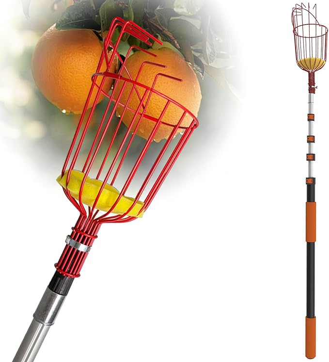 WIN&YING 26FT Reach Fruit Picker Pole, Telescopic Picking Pole with Gentle Grip Claw & Collapsible Basket, Adjustable Apple Picker Pole Tool for Avocado Orange Lemon Pear Mango