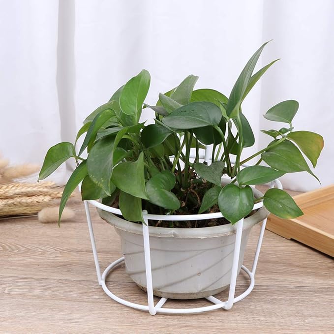 4 Pack Hanging Planters for Railings Rail Planter Hanging Baskets Flower Pot Holders Iron Plant Racks Metal Fence Planter Potted Stand Mounted Balcony Plant Baskets Container,Garden Steel Pots