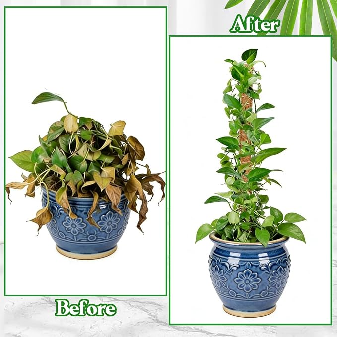 Moss Pole Monstera Plant Support 2 Pack 24 Inch Bendable Moss Pole for Monstera Plants Indoor Handmade Coco Coir Pole Plant Sticks Support Stakes for Potted Plants Philodendron to Grow Upwards