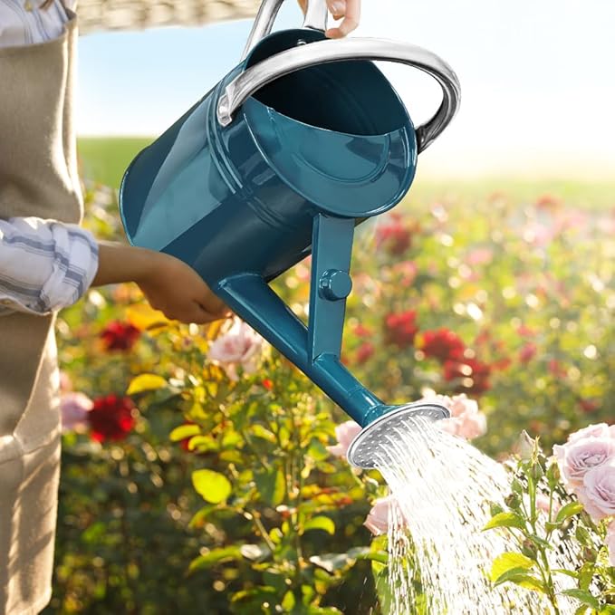 1 Gallon Metal Watering Can with Removable Spout, Nice Galvanized Steel Water Can for Indoor and Outdoor Plants (Ocean Blue)