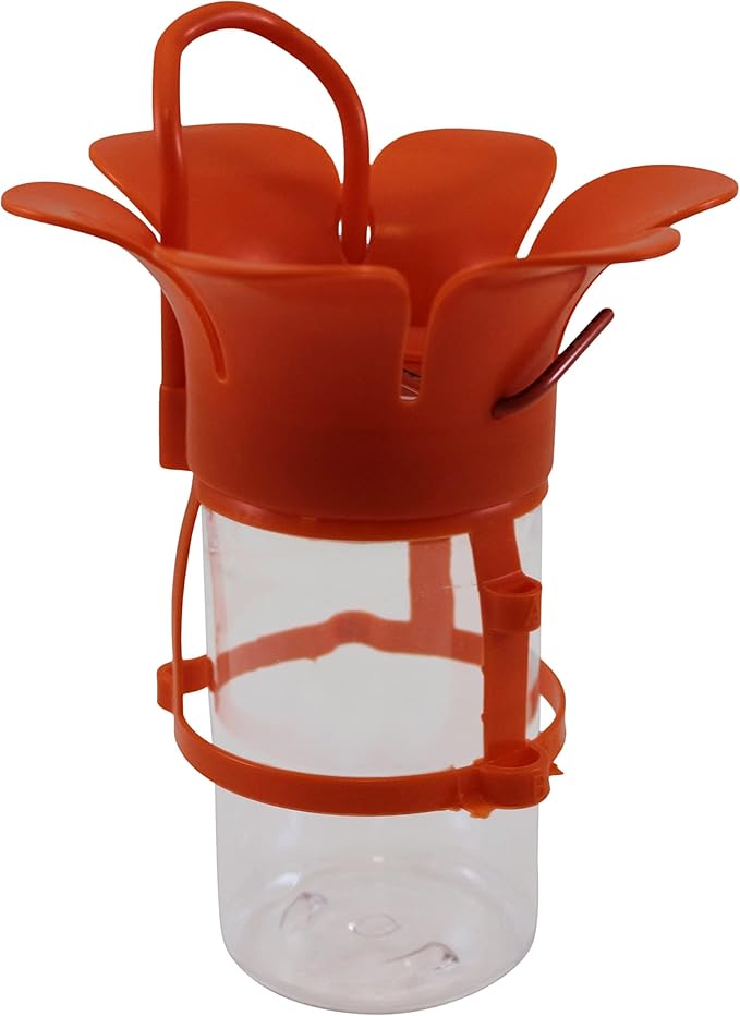 Songbird Essentials Jelly Bird Feeder, Oriole Feeder, Easy to Fill with Jelly or Jam, Plastic Jar Included. Fits Most 10-12 Ounce Jelly Jars