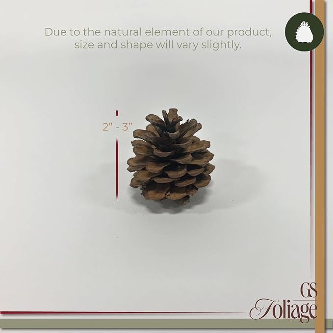 Natural Austriaca Pine Cones for Crafts - 2-3 Inch Real Pinecones for Christmas Decorating Ornaments, Holiday Decor Vase Filler - Rustic Woodland Dried Pine Cones - Set of 24 – Natural