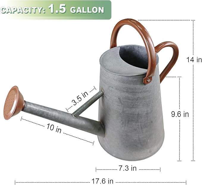 Watering Can for Outdoor&Indoor Plants，1.5 Gallon（5.7L） Metal Watering Can with with Removable Spout，Large Galvanized Steel Garden Flower Water Can Watering Pot with 2 Handles，Rustic Silver