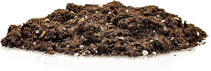 GARDENERA Citrus Tree Potting Soil Mix - 10 Quart - Special Blend for Indoor Oranges, Lemons, Limes and More - (2 Bags of 5 Quart)