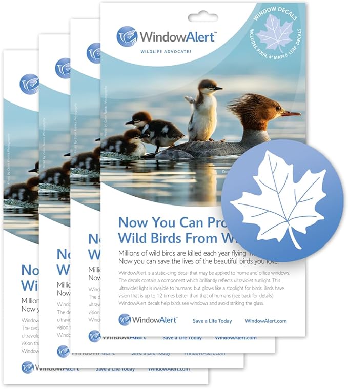 WindowAlert Maple Leaf Anti-Collision Decal 4 Pack - UV-Reflective Window Decal to Protect Wild Birds from Glass Collisions - Made in The USA